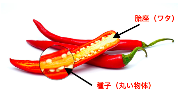 激辛マニアが教える唐辛子をもっと辛くする５つの方法
