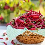 地球上で最も辛味成分カプサイシンを含んだ物質『レシニフェラトキシン』とは？接種したら即死！？