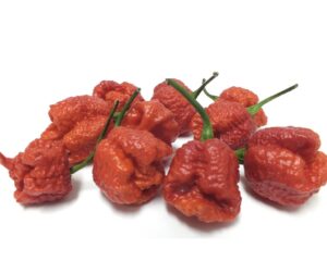 激辛過ぎで超危険!唐辛子界の死神『キャロライナリーパー』の辛さレベルや身体に与える影響は?