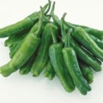 獅子唐辛子の魅力とおすすめの食べ方