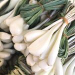 フランス料理の必須アイテム!エシャロットの魅力と使い方