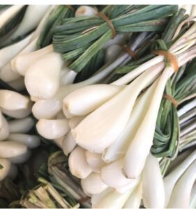 フランス料理の必須アイテム！エシャロットの魅力と使い方