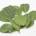 香りと健康を手軽に!カフェライムリーフの魅力