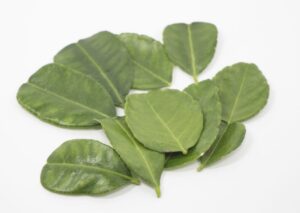 香りと健康を手軽に!カフェライムリーフの魅力