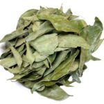 カレーリーフ:南アジアの香り豊かな秘密のハーブ