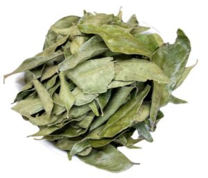 カレーリーフ:南アジアの香り豊かな秘密のハーブ