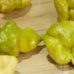 挑戦者必見：ペッパーXの食べると起こる身体への影響