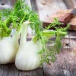香りと歴史、フェンネルの魅力: 料理、ハーブ、文化を巡る旅
