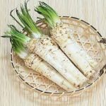 ホースラディッシュ: 料理の冒険と庭づくりの新しい可能性