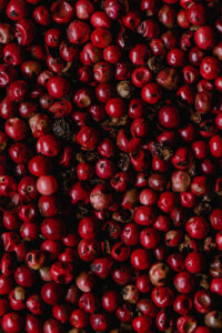 ピンクペッパー:料理とアートの魅力を味わう、多彩なスパイスの世界