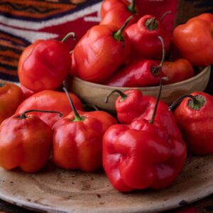 辛さと風味の新天地:ロコト(Rocoto)の魅力に迫る