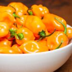 タイガーパウNR:ハバネロの新たな進化と耐性の秘密