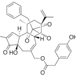 神経毒の秘密:チニアトキシンの謎と可能性