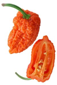 ナガ・モリッチ（Naga Morich）: インドの辛さと風味、料理愛好者への挑戦