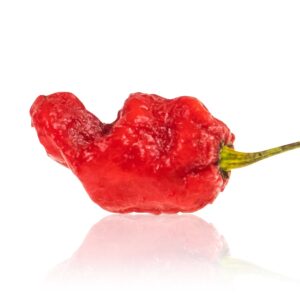 辛さと香りの極地!7ポット・マッドボールズ・ペッパーの魅力とおすすめの人への提案