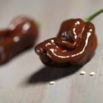 チョコレートハバネロ:辛味と冒険の味覚旅