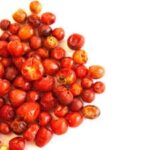 テピン・チリ:小さながら強烈な味わいの秘密と魅力
