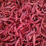 ビャダギ唐辛子:南インドの秘密のスパイス