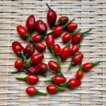 チルテピンペッパー:辛味と独特の風味が魅力の唐辛子