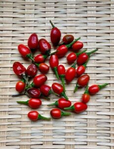 チルテピンペッパー:辛味と独特の風味が魅力の唐辛子