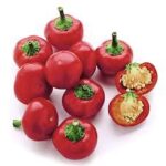 サタンのキス:料理の秘密兵器としての魅力